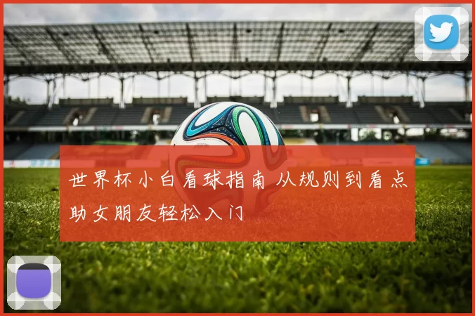 世界杯小白看球指南 从规则到看点助女朋友轻松入门